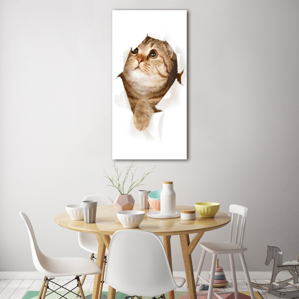 Photo printed on glass Cat