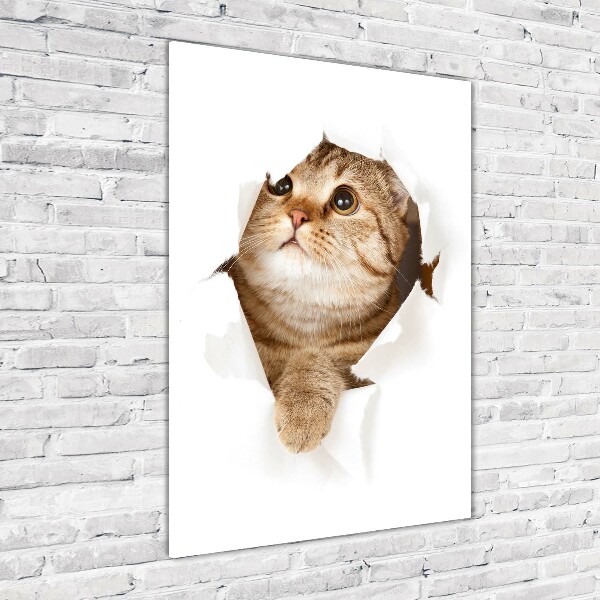 Photo printed on glass Cat