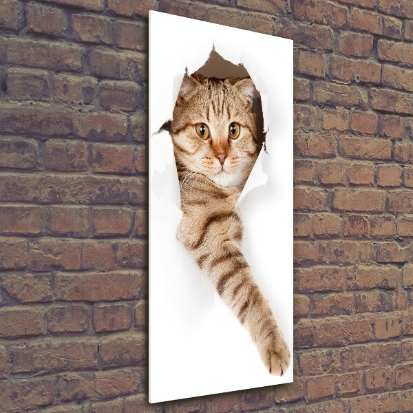 Photo printed on glass Cat