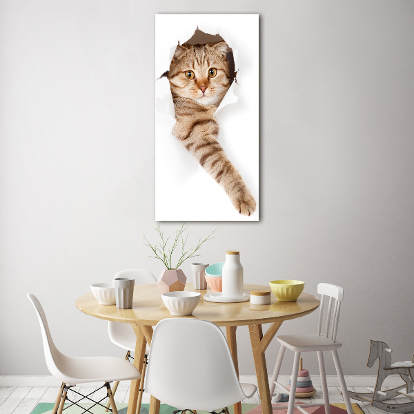 Photo printed on glass Cat