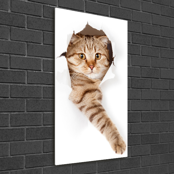 Photo printed on glass Cat