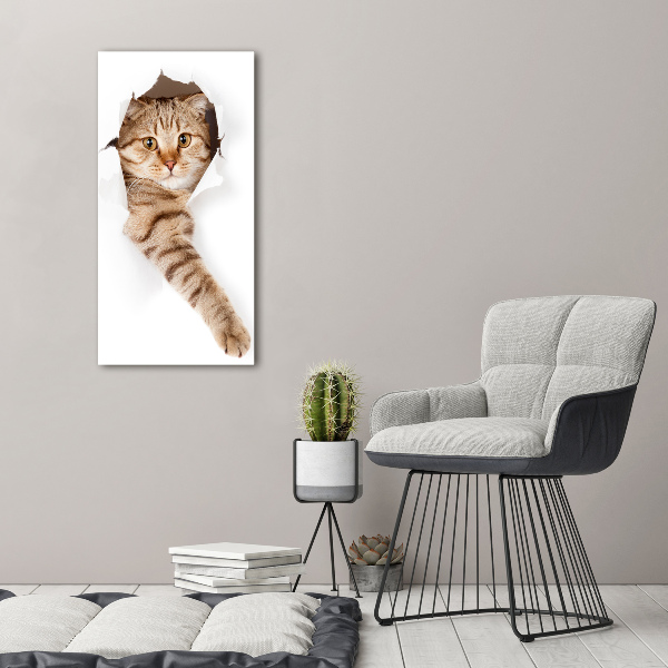 Photo printed on glass Cat