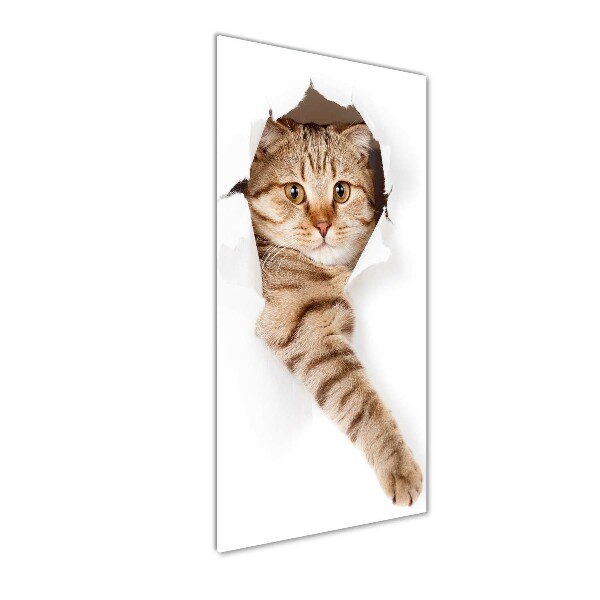 Photo printed on glass Cat