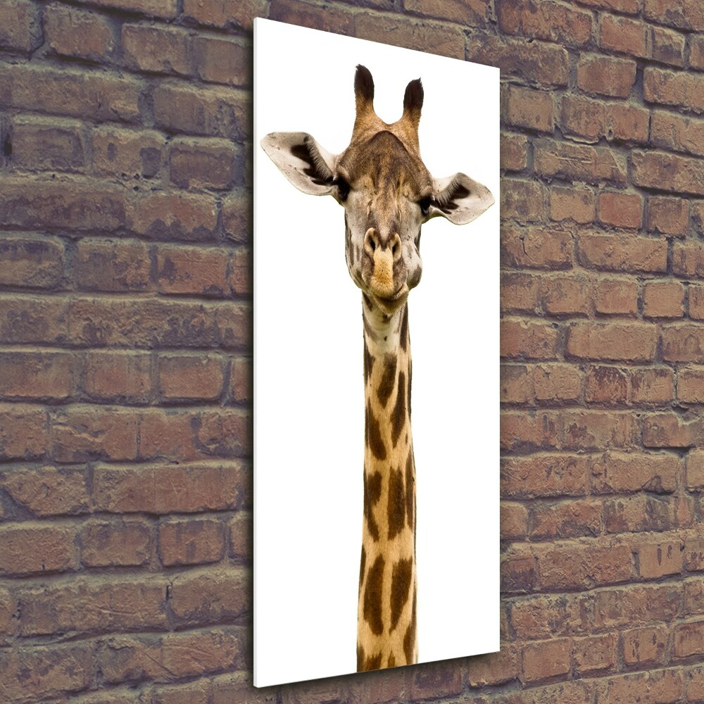 Photo printed on glass Giraffe