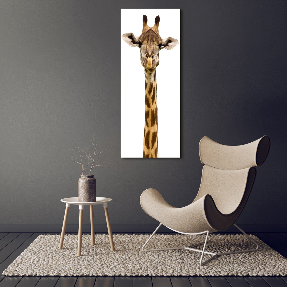 Photo printed on glass Giraffe