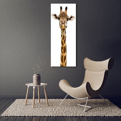 Photo printed on glass Giraffe