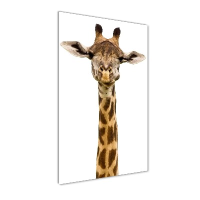 Photo printed on glass Giraffe