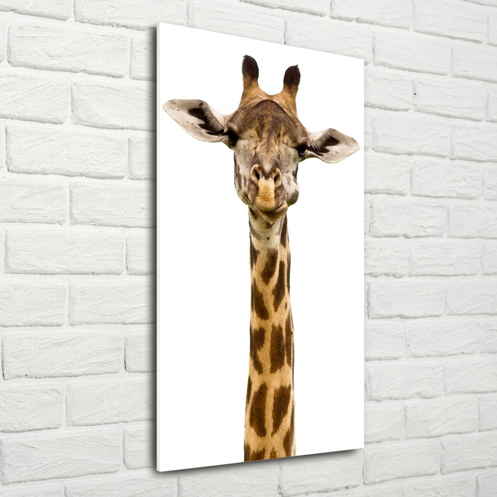 Photo printed on glass Giraffe