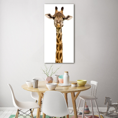 Photo printed on glass Giraffe