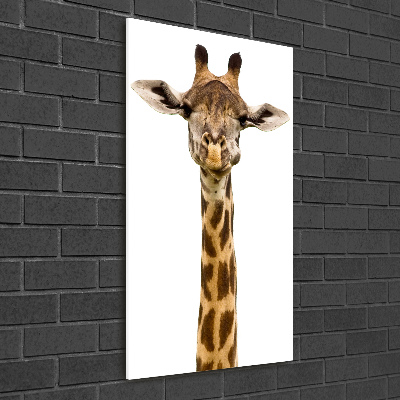 Photo printed on glass Giraffe