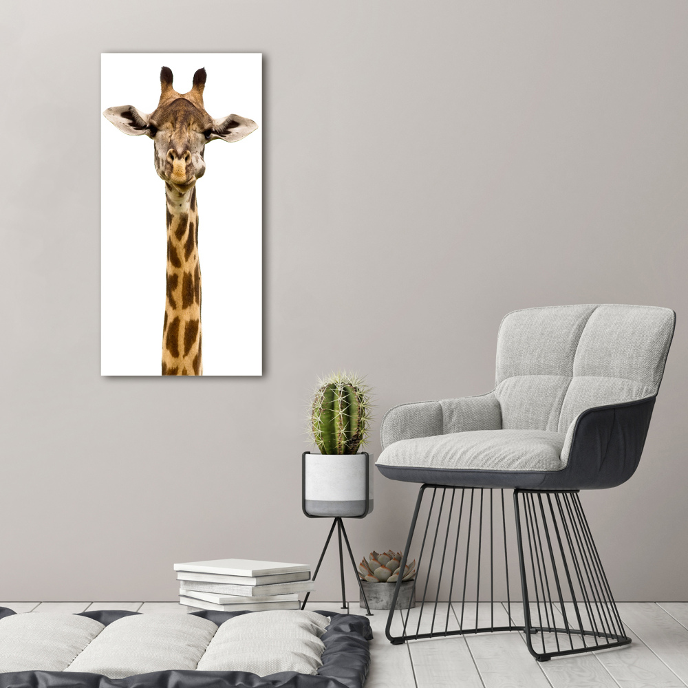 Photo printed on glass Giraffe