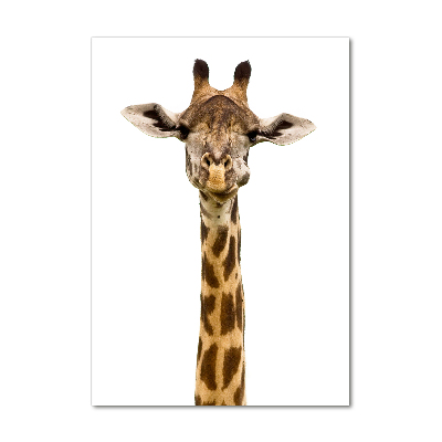 Photo printed on glass Giraffe