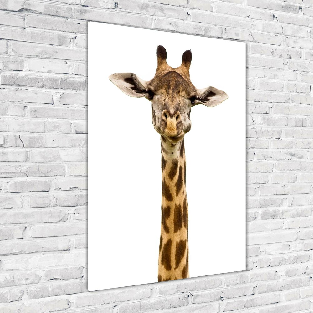 Photo printed on glass Giraffe