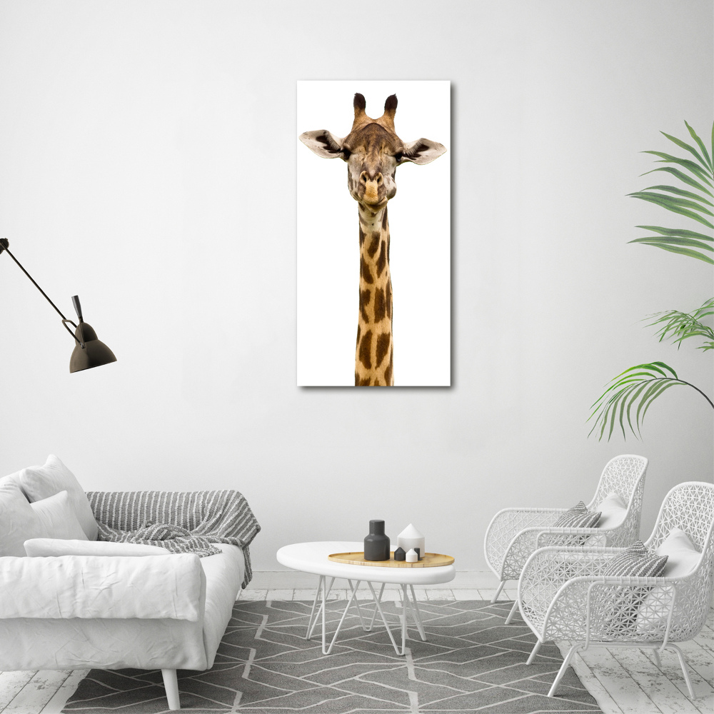 Photo printed on glass Giraffe