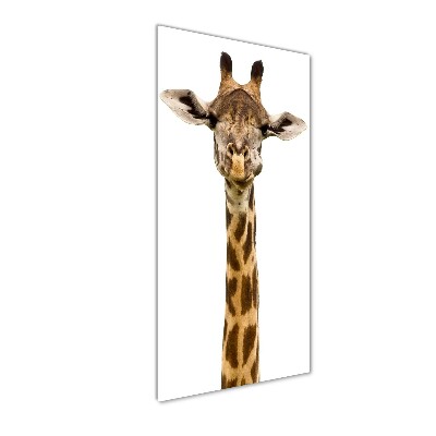 Photo printed on glass Giraffe