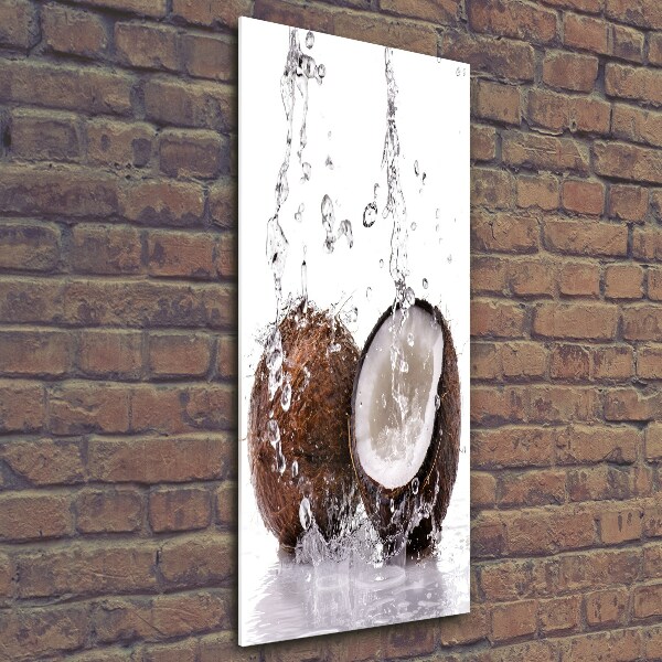 Glass wall art Coconut