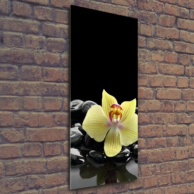 Photo printed on glass Orchid and stones