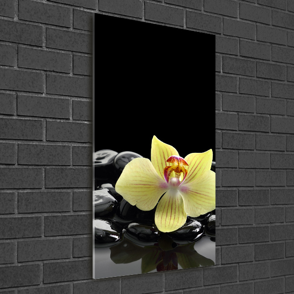 Photo printed on glass Orchid and stones