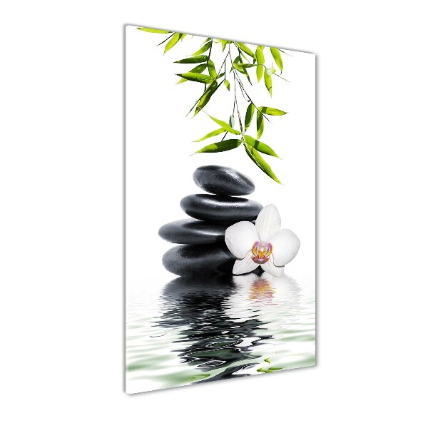 Photo printed on glass Orchid and stones