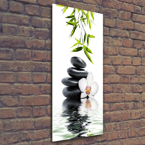 Photo printed on glass Orchid and stones