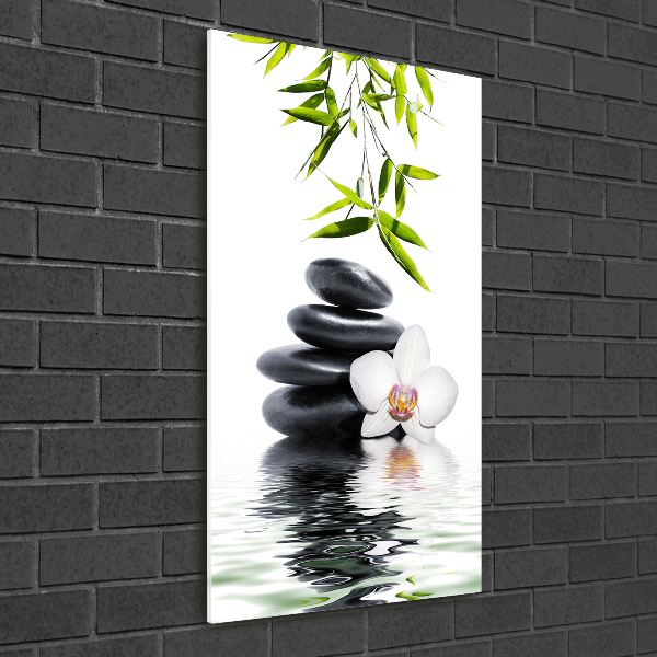 Photo printed on glass Orchid and stones