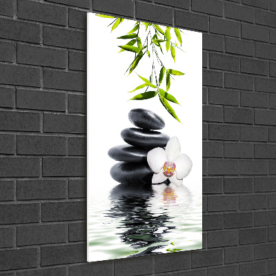 Photo printed on glass Orchid and stones