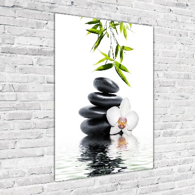 Photo printed on glass Orchid and stones