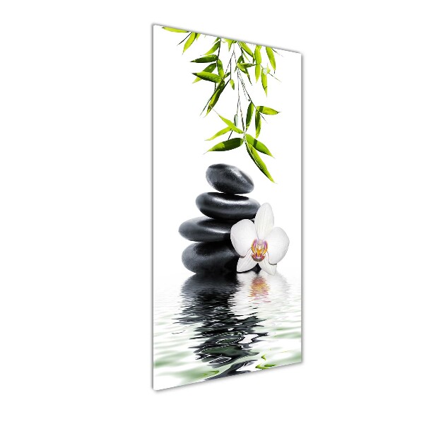 Photo printed on glass Orchid and stones