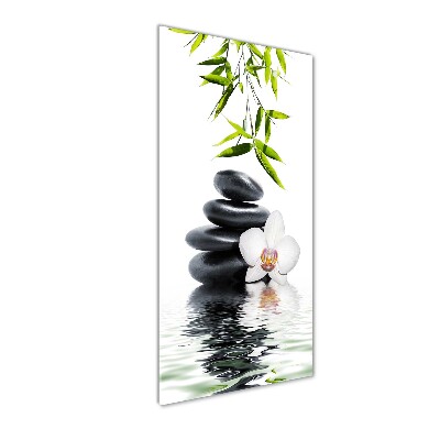 Photo printed on glass Orchid and stones