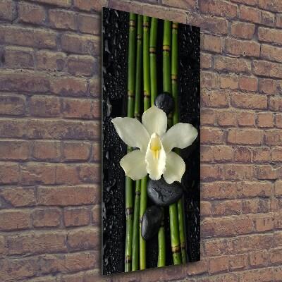 Photo printed on glass Orchid and bamboo