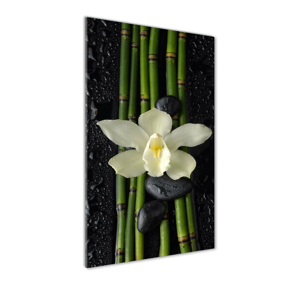 Photo printed on glass Orchid and bamboo