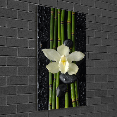 Photo printed on glass Orchid and bamboo