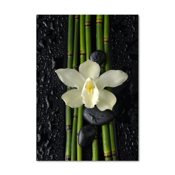 Photo printed on glass Orchid and bamboo