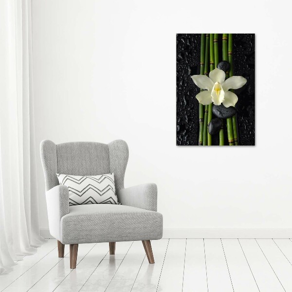 Photo printed on glass Orchid and bamboo