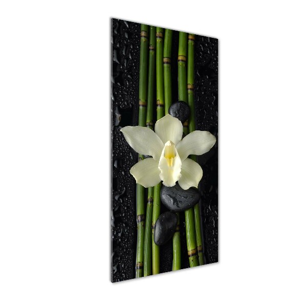 Photo printed on glass Orchid and bamboo