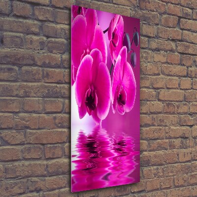 Photo printed on glass Pink orchid