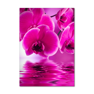 Photo printed on glass Pink orchid