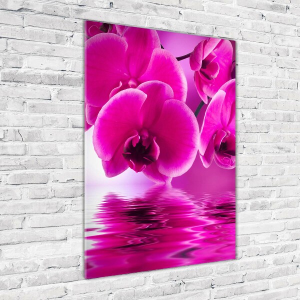 Photo printed on glass Pink orchid