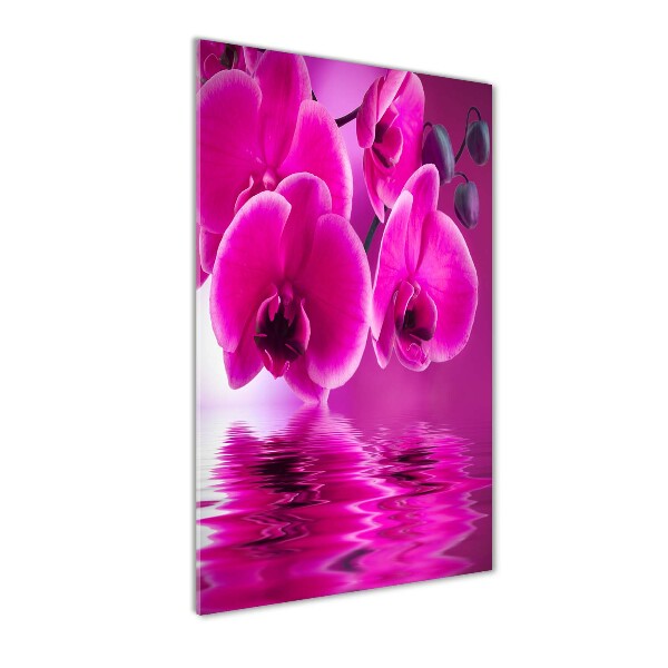 Photo printed on glass Pink orchid