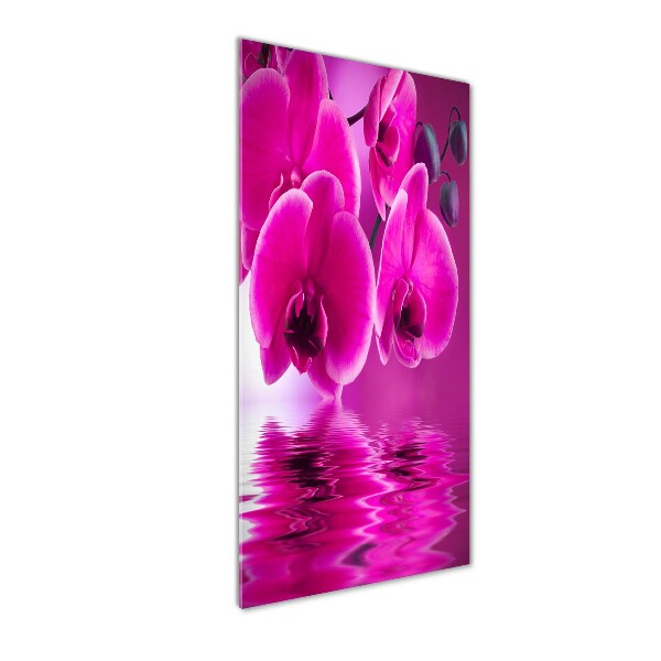 Photo printed on glass Pink orchid