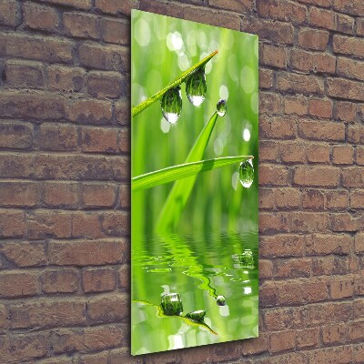 Printed glass wall art Blade of grass