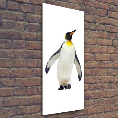 Photo printed on glass Penguin