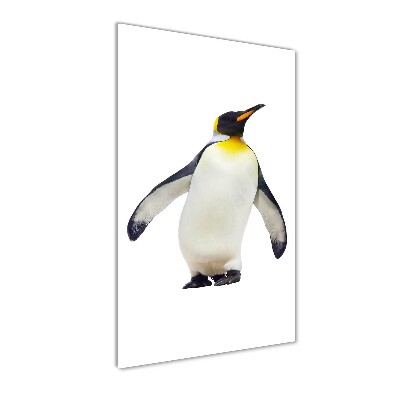 Photo printed on glass Penguin