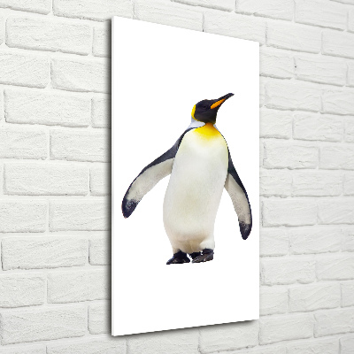 Photo printed on glass Penguin