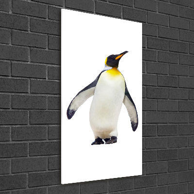 Photo printed on glass Penguin