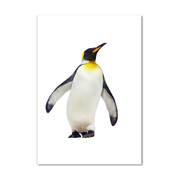 Photo printed on glass Penguin