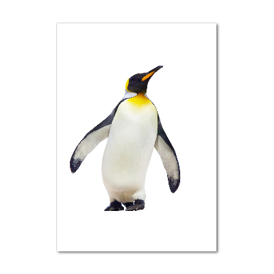 Photo printed on glass Penguin