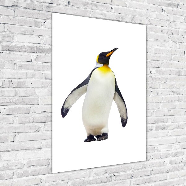 Photo printed on glass Penguin