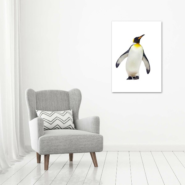 Photo printed on glass Penguin