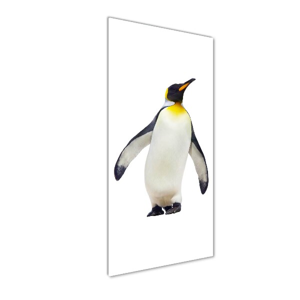 Photo printed on glass Penguin